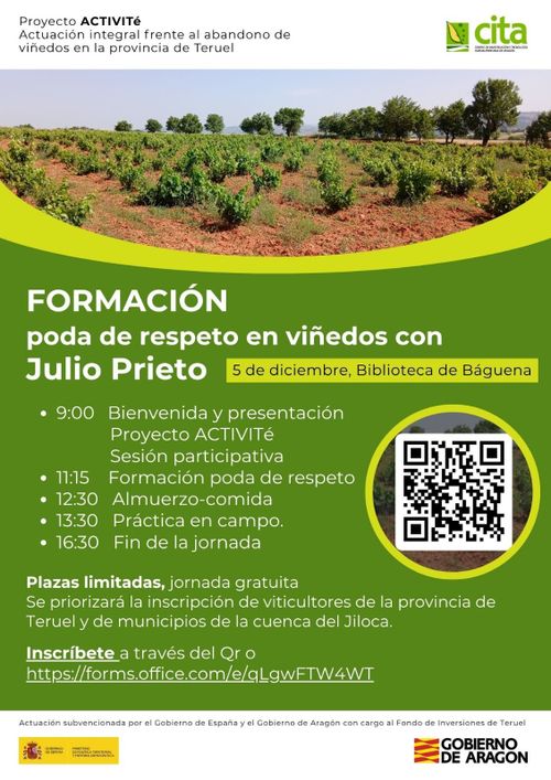 Cartel de la formación, encabezada por una foto de un viñedo. Se muestra la agenda, que comienza el 5 de diciembre a las 9 en la biblioteca de Báguena. Tendrá una sesión informativa, almuerzo-comida, y prácticas.