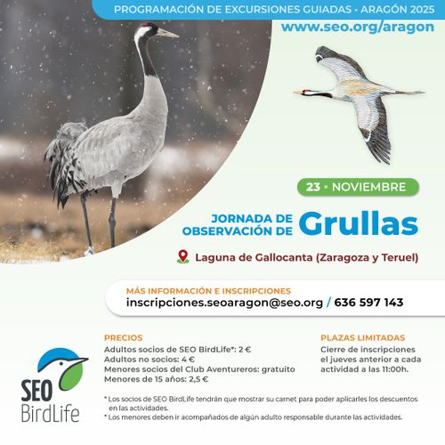 Cartel de la jornada de observación de grullas en Gallocanta. A la izquierda hay una foto de una grulla en el suelo, y a la derecha una grulla volando. Hay diversa información sobre la jornada como la forma de inscribirse y los precios. Inscripciones y más información en inscripciones.seoaragon@seo.org, 636597143 o https://www.seo.org/aragon.